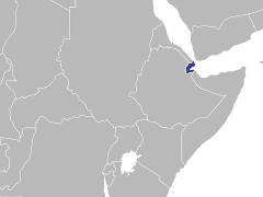 Carte de la région : Djibouti